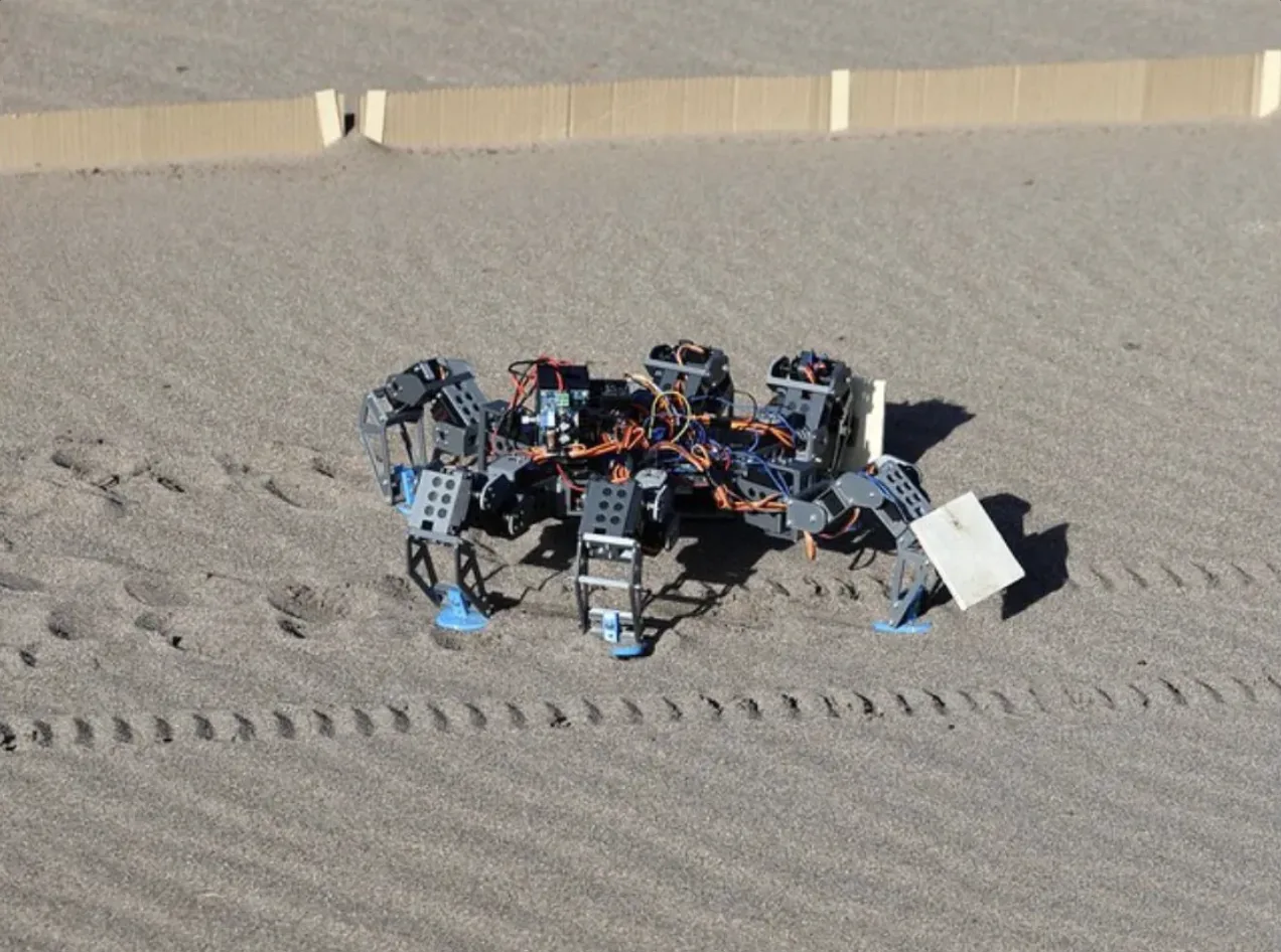 The hexapod walking on sand at the NASA Colorado Robotics Challenge